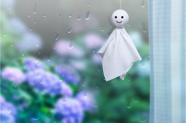 おはようございます☂️