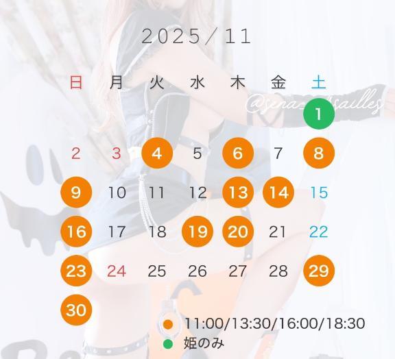 🩷 11月の予定 🩷