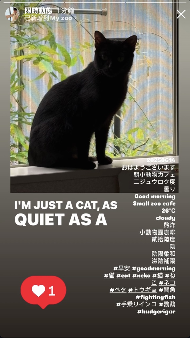 ネコカフェ😺