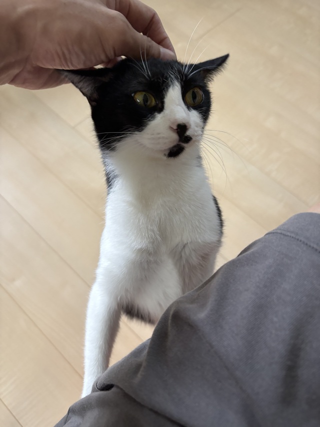 おはよう