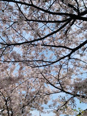 スタート地点は清盛塚。