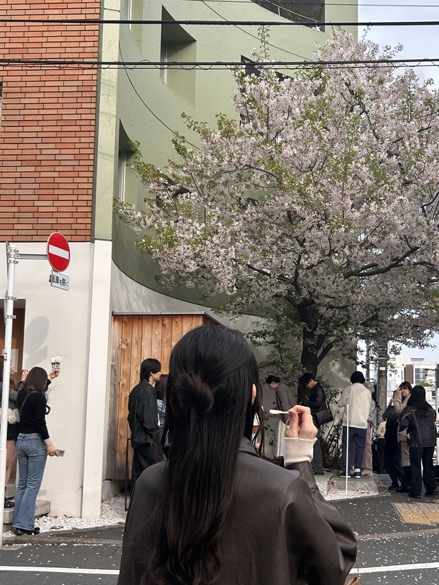 🌸🍦