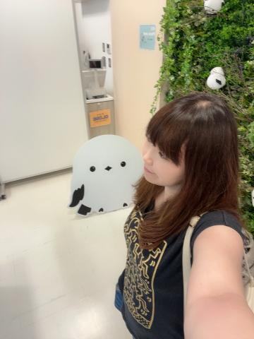 北海道から帰還???