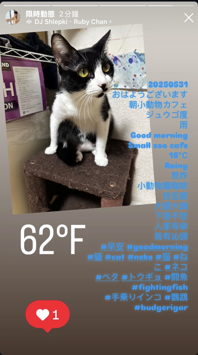 おはよう^_^