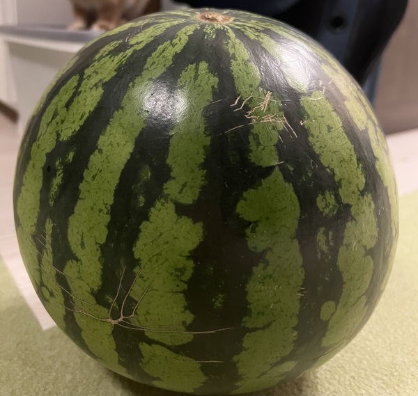 さやか