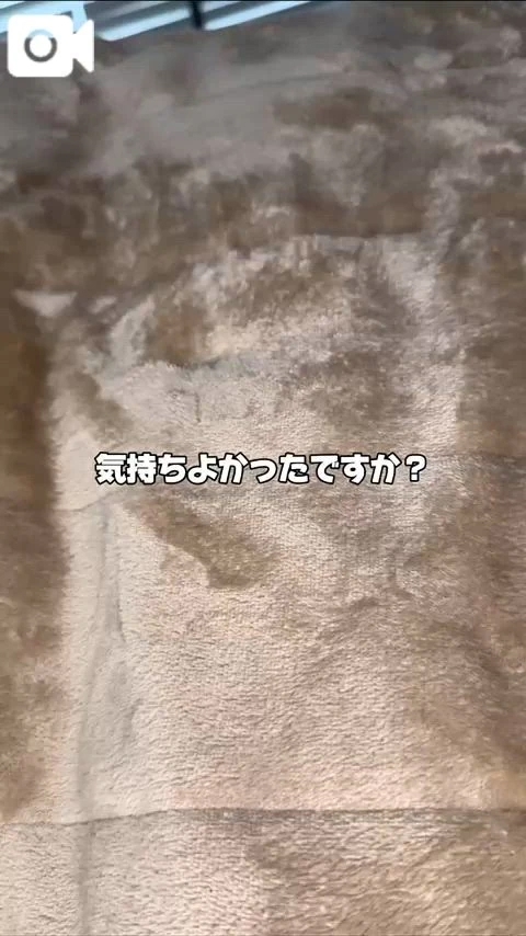 秘密の癒し㊙️