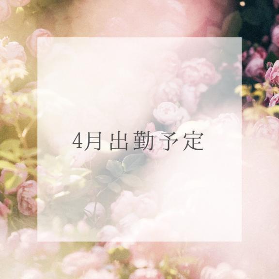 出勤予定(*˙꒳˙*)‧⁺✧︎*