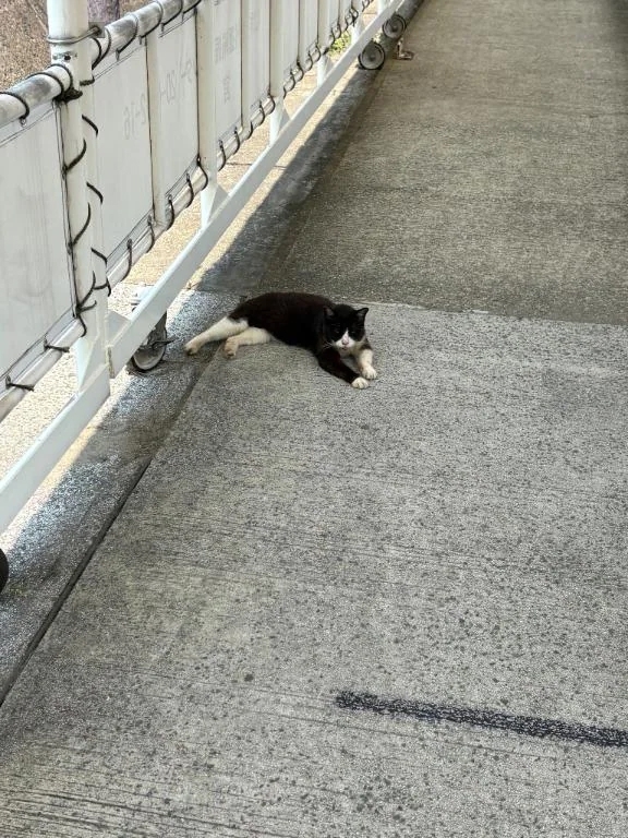 あちぃ