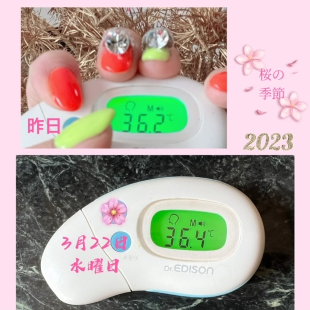 ～検温～～スケジュール～