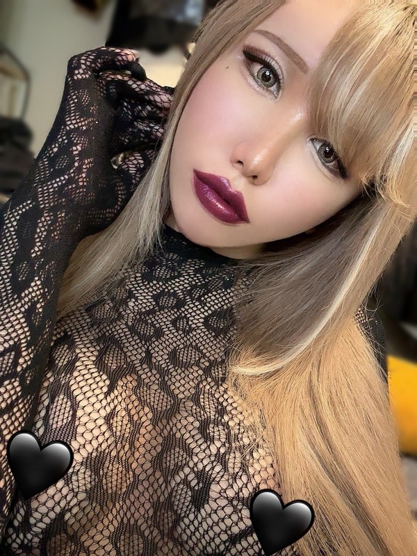 ニュ－ハ－フアイカ