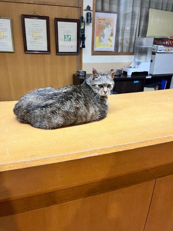 お店の女の子さまへ。