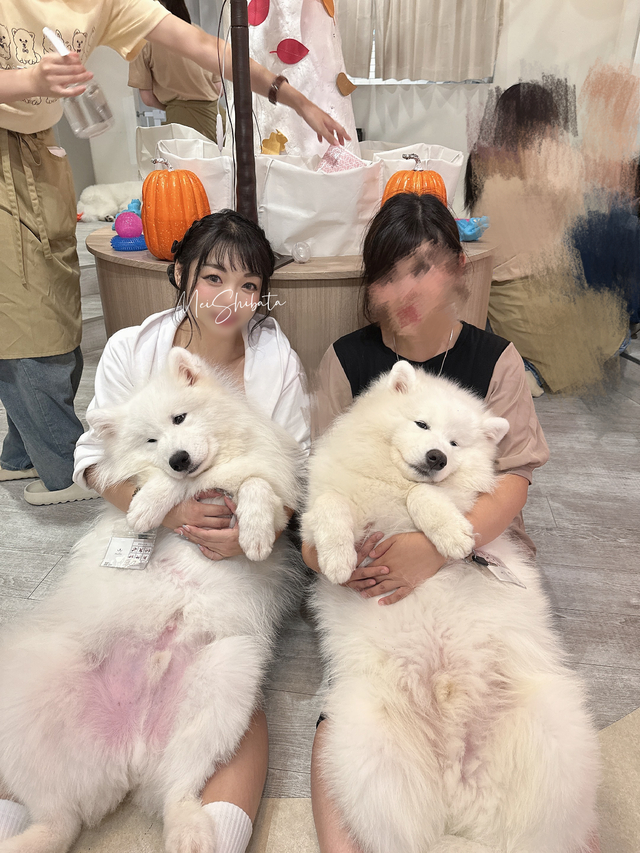 いやらし…いや、癒し！！