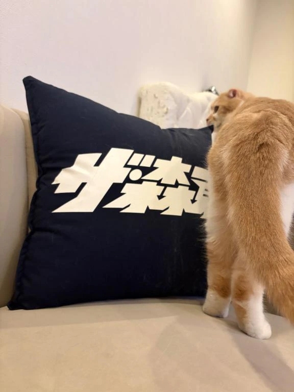 🌸2/28ご案内可能時間🌸