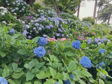 力尽きてしまう