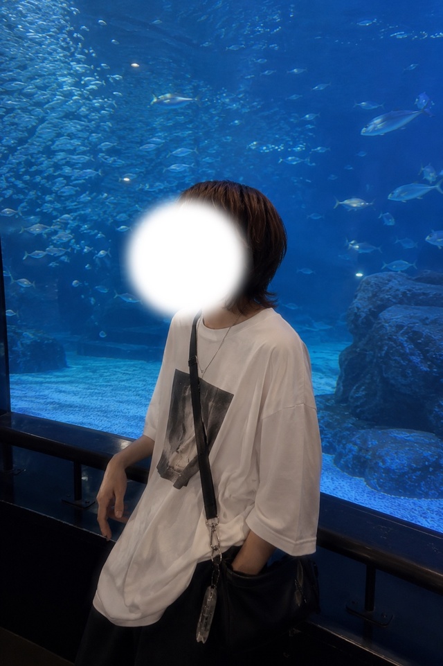 行ってみたい水族館