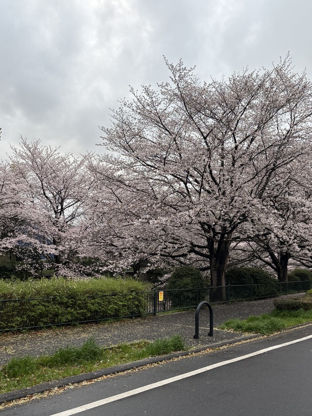 この春変えたいこと