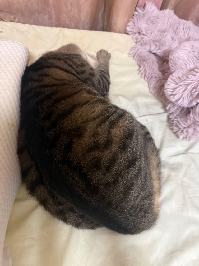 今日はMMAパーソナルに✨