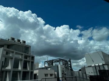 高いところから??