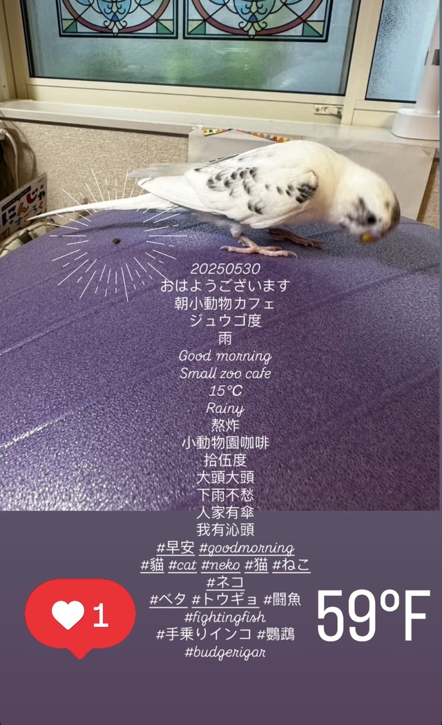 雨の日