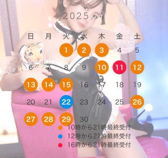 【注目！】4月の予定🌸𓂃