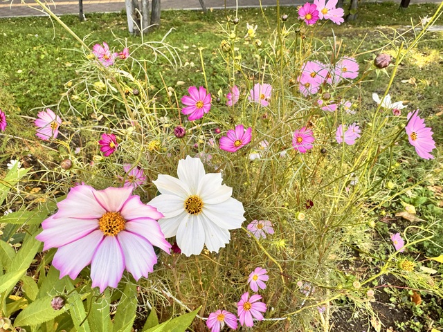 ☀️おはよ☀️