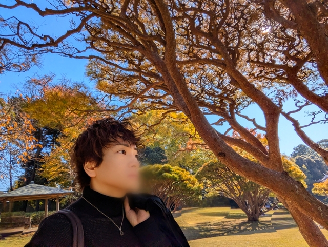 11月最後の土曜日