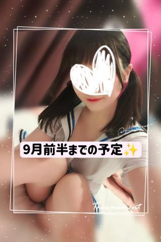 〜9月前半までの予定?