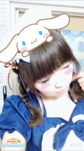 ゼニガメコミュデイ??