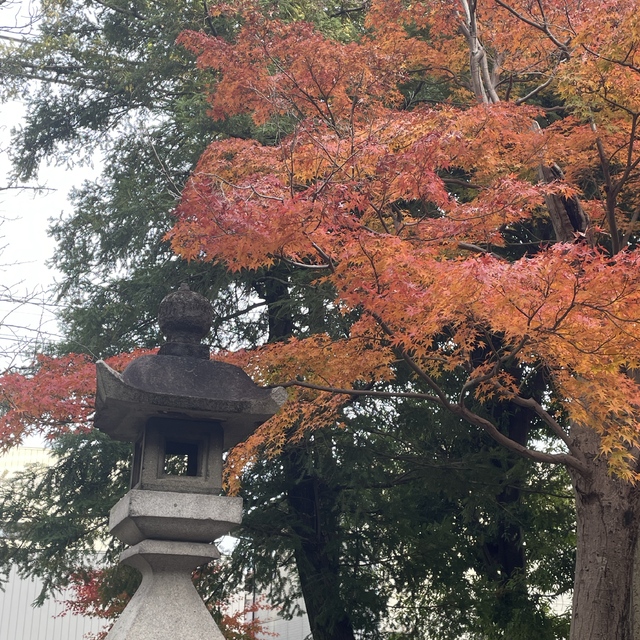 ついたち参り✨