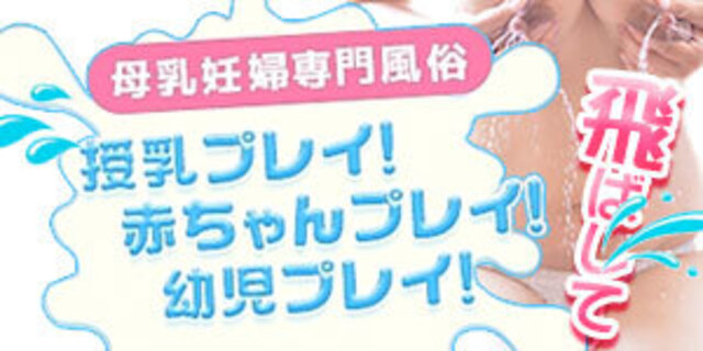 6/12　割引情報