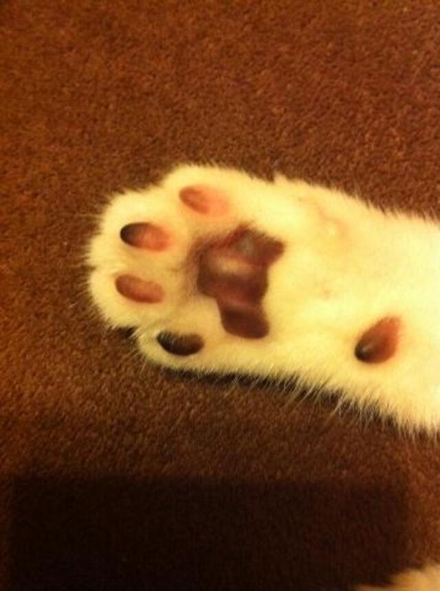 おっはよーぅ