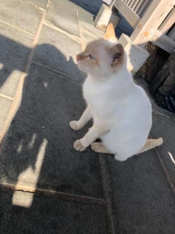 かーわい?そしてありがとうの気持ち