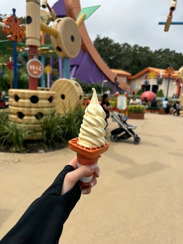 ディズニー🎡