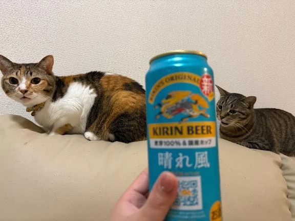 乾杯♡