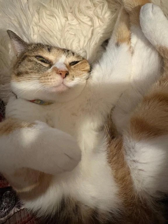 しあわせ時間♡