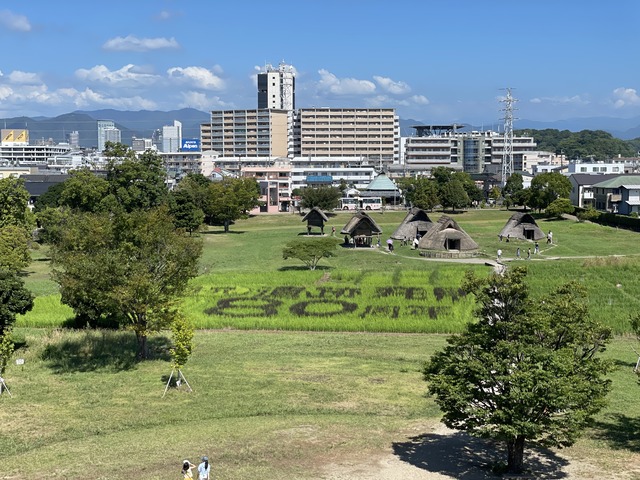 【旅行③】静岡県