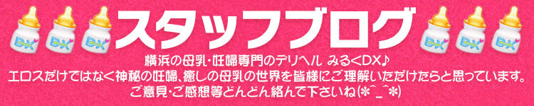 スタッフブログ