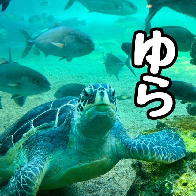 やっぱり卑猥な痴女🤫㊙️
