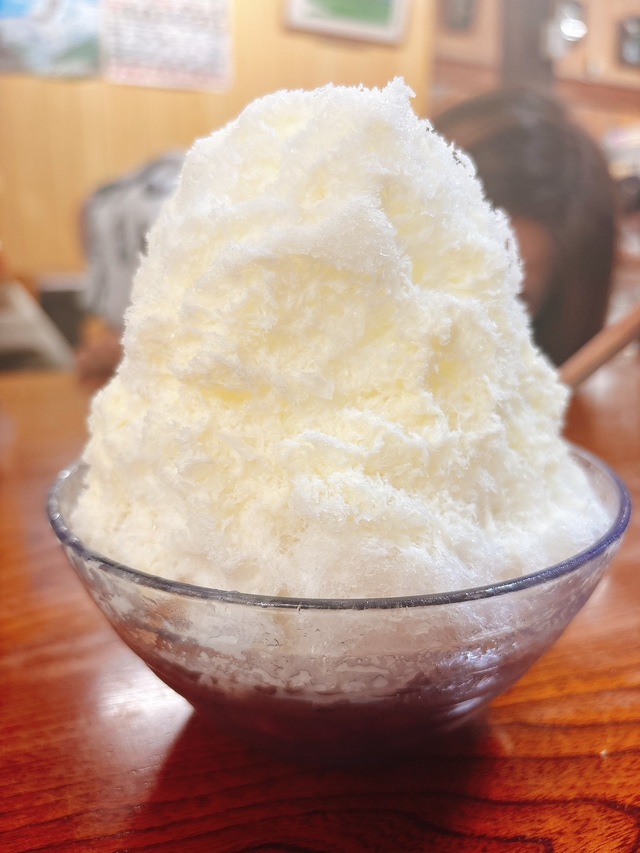 🌸よく見ると居るの🌸