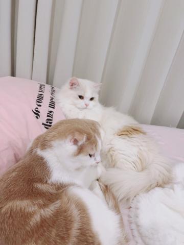 おはようございます♡