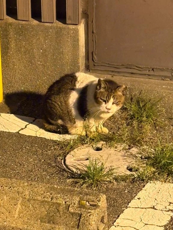 中洲一のワル♡