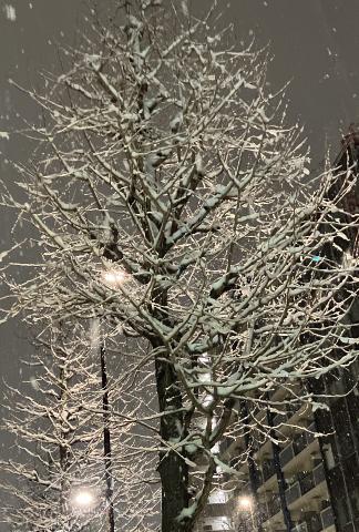 帰ってこれた〜