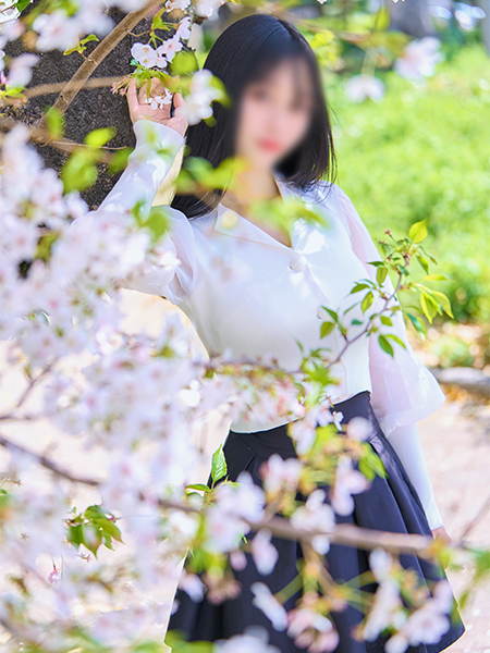 MIDORI(21)