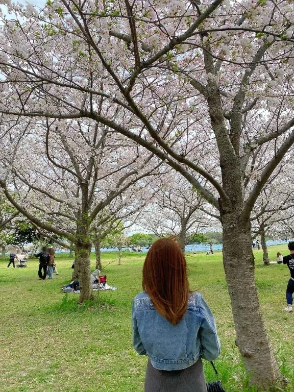 こんな遅くに🌃