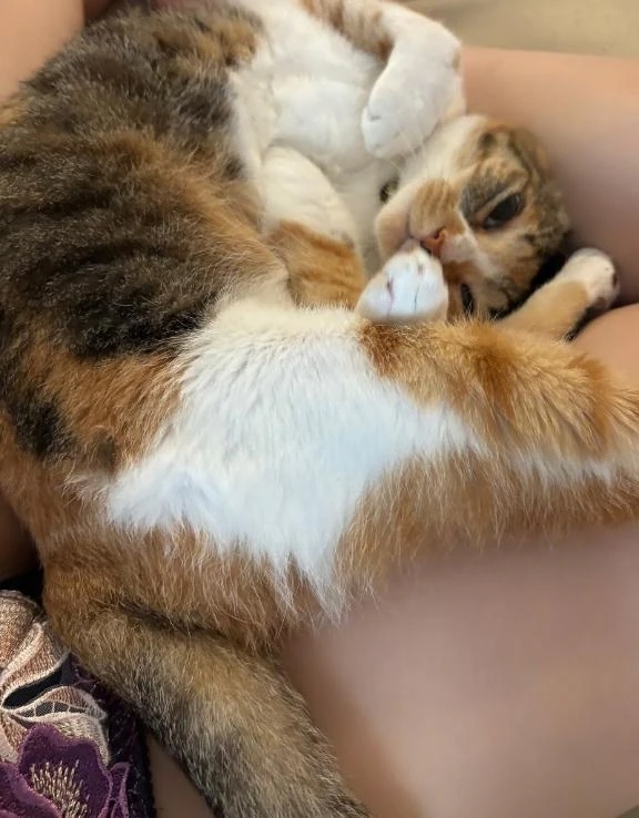 あったかい♡