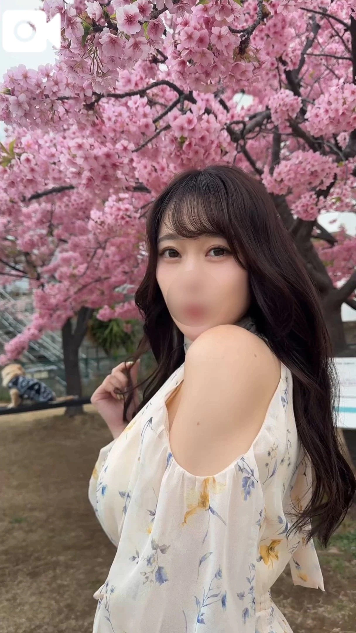 💎🎥春のイクやん🌸