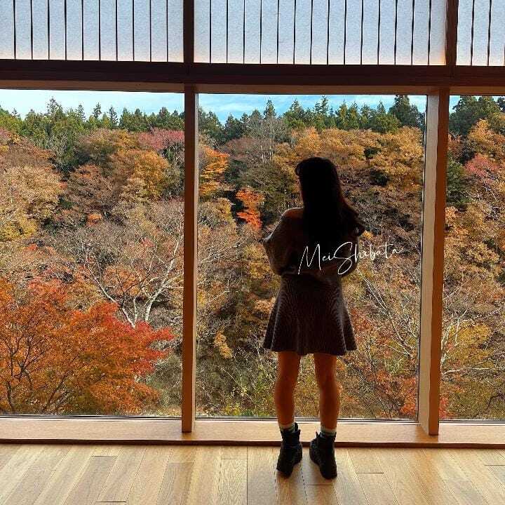 綺麗なものを見れる幸せ