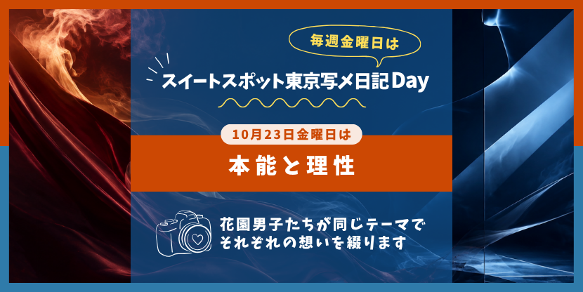 写メ日記