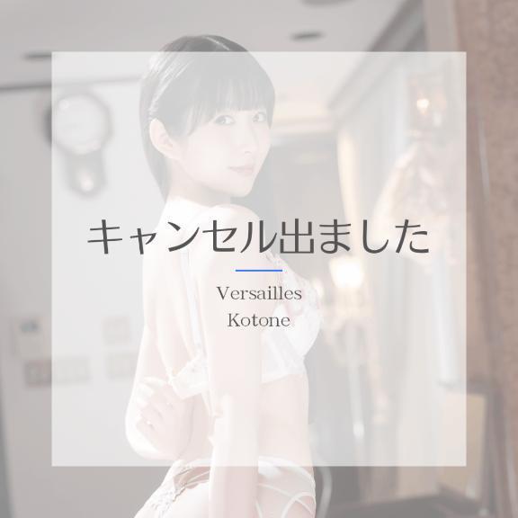 🎵琴音🎵キャンセル⚠️
