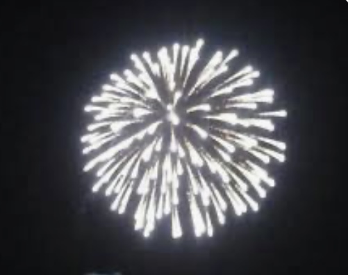 夏の花